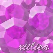 xiiliea