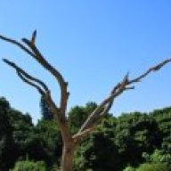 Aniruddha Bhattacharyya